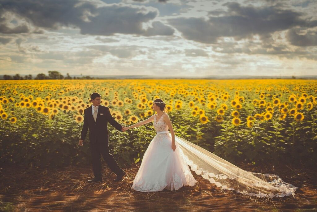 wedding, couple, sunflower field-1867318.jpg